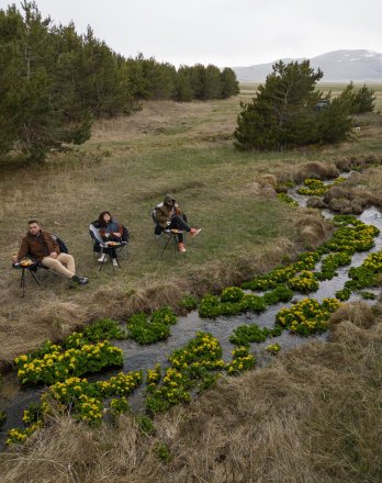 Silent Mountain Therapy Retreat